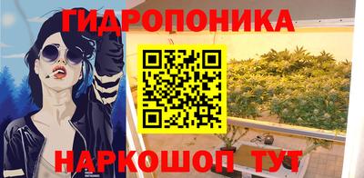 прущие грибы Краснознаменск