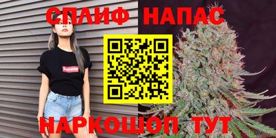 прущие грибы Краснознаменск