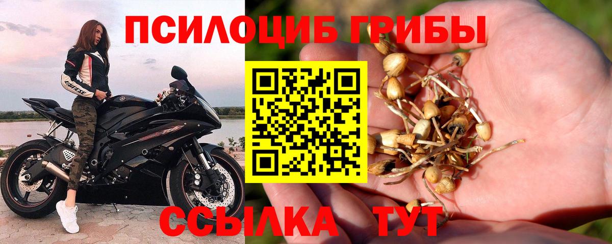 цены   Вход с VPN  Дубна  Псилоцибиновые грибы MAGIC MUSHROOMS 